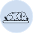A calm day together icon