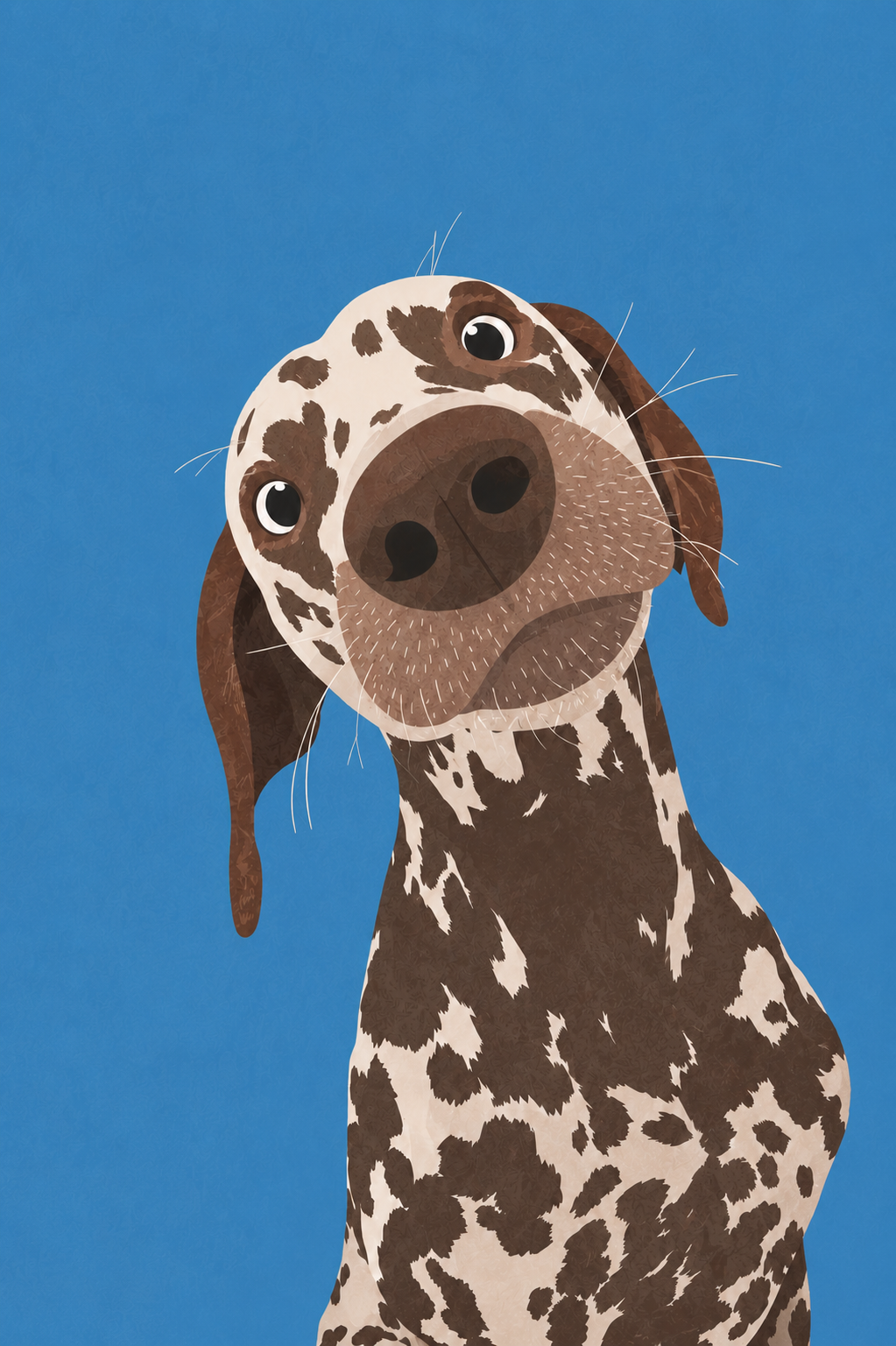 A curious dog looking at the camera