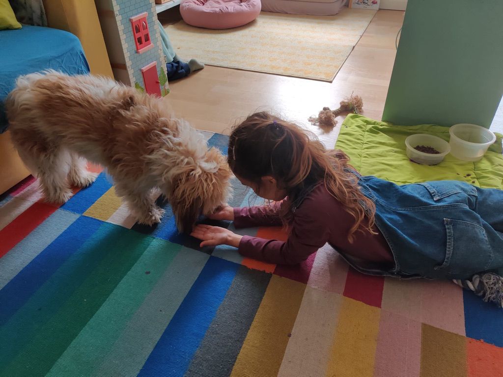 Cookie and Uxue playing together