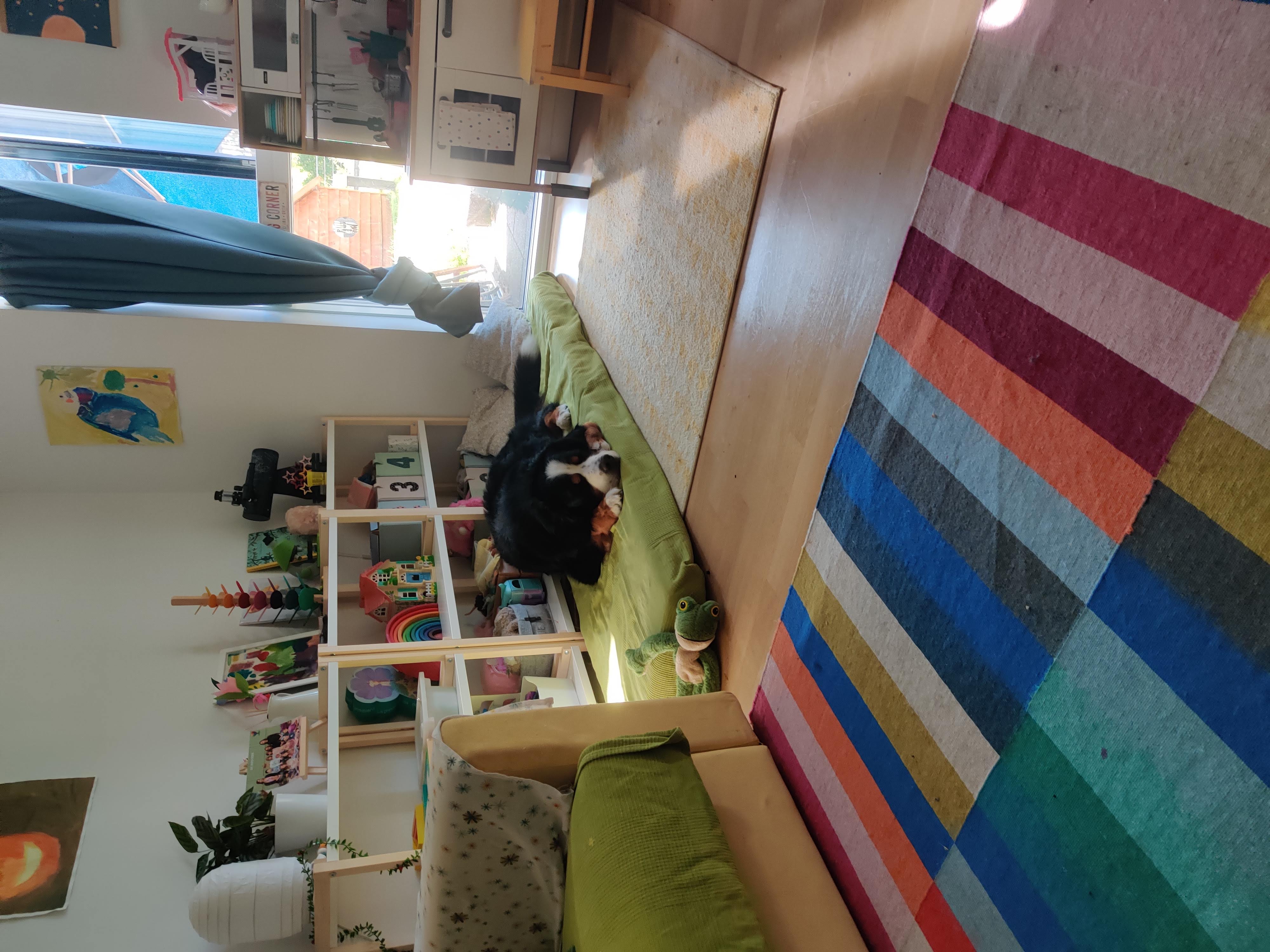 Balder relaxing indoors