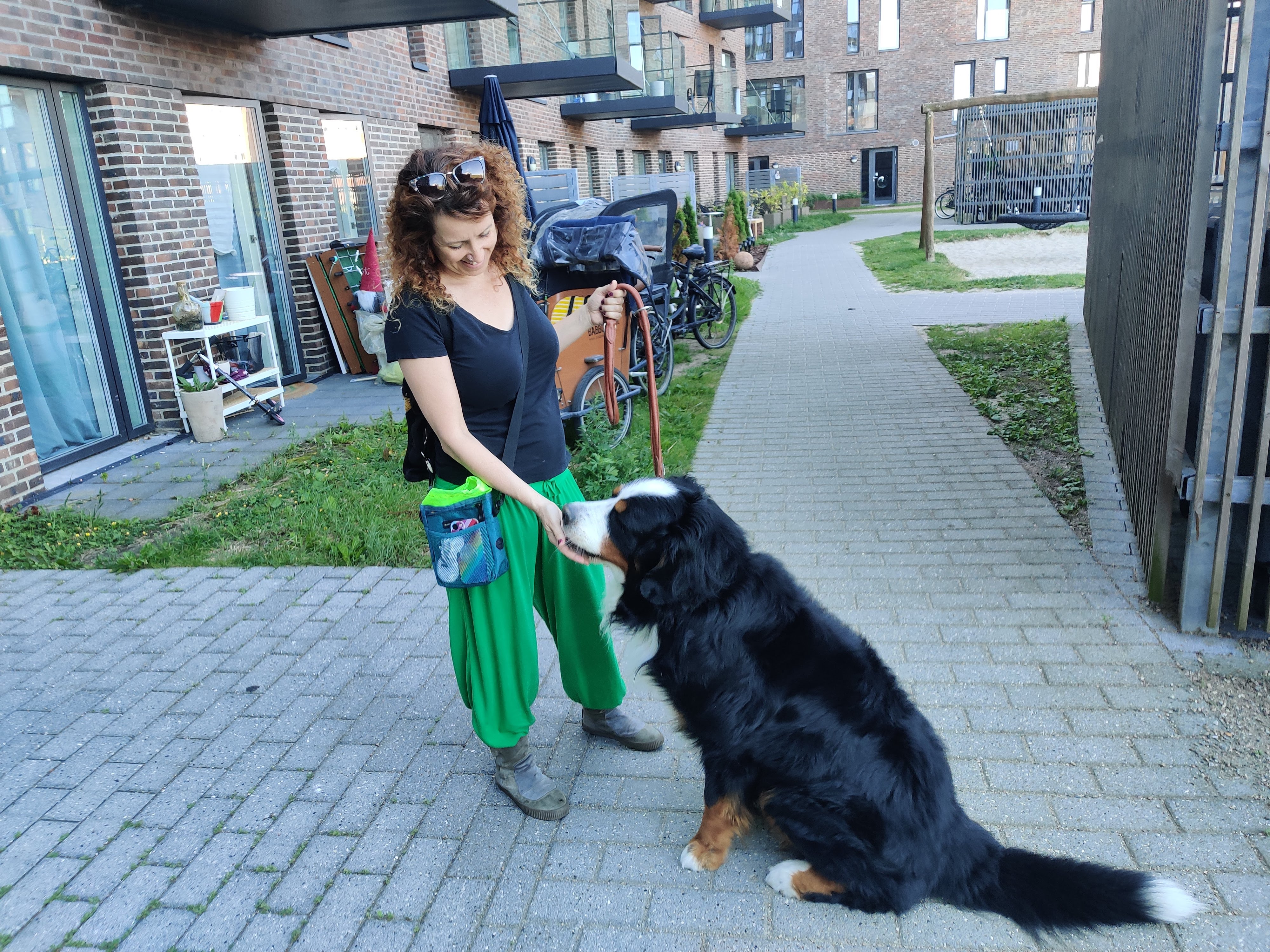 Giving a treat to Balder