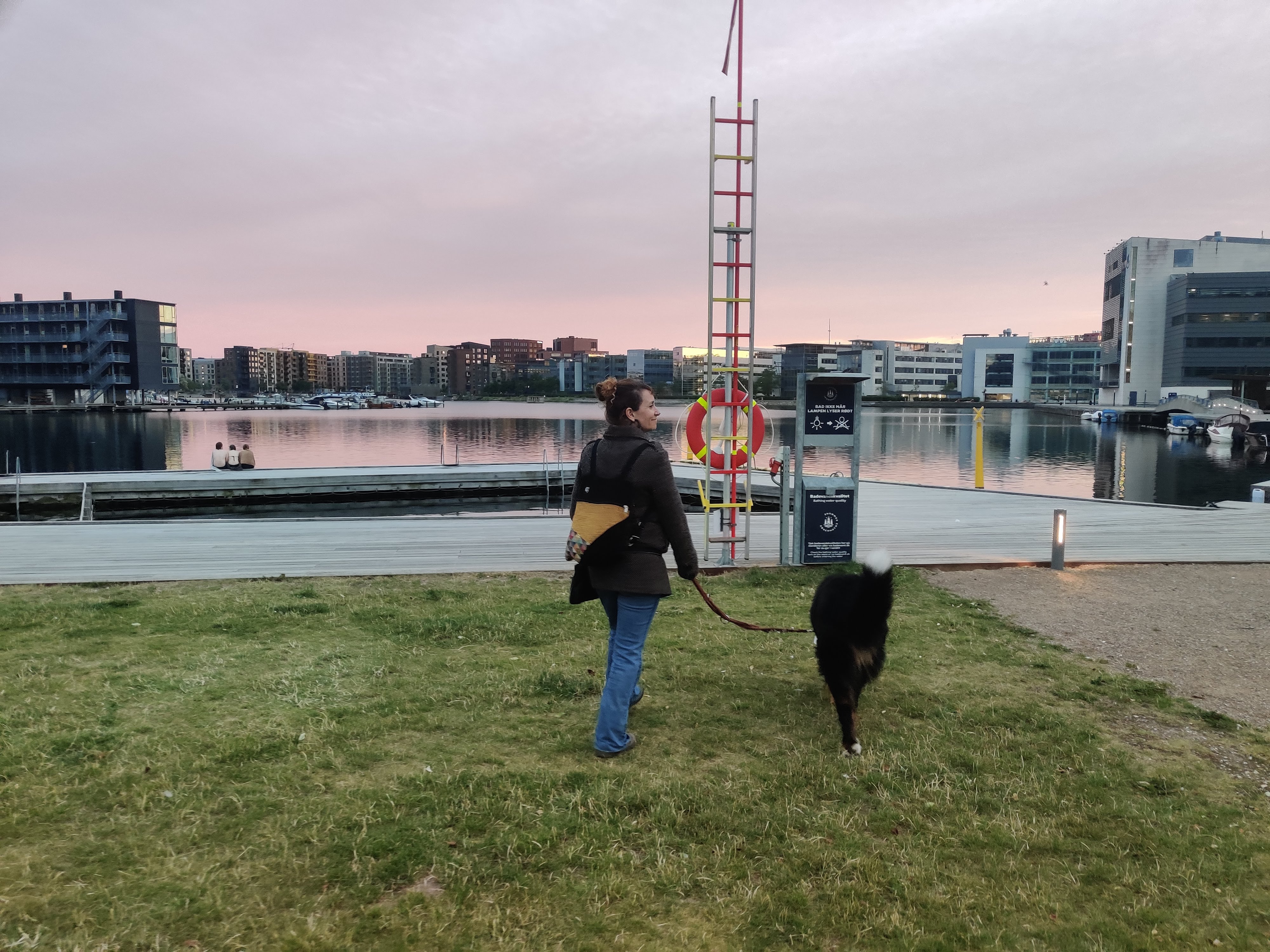 Walking dogs by the canals of Copenhagen