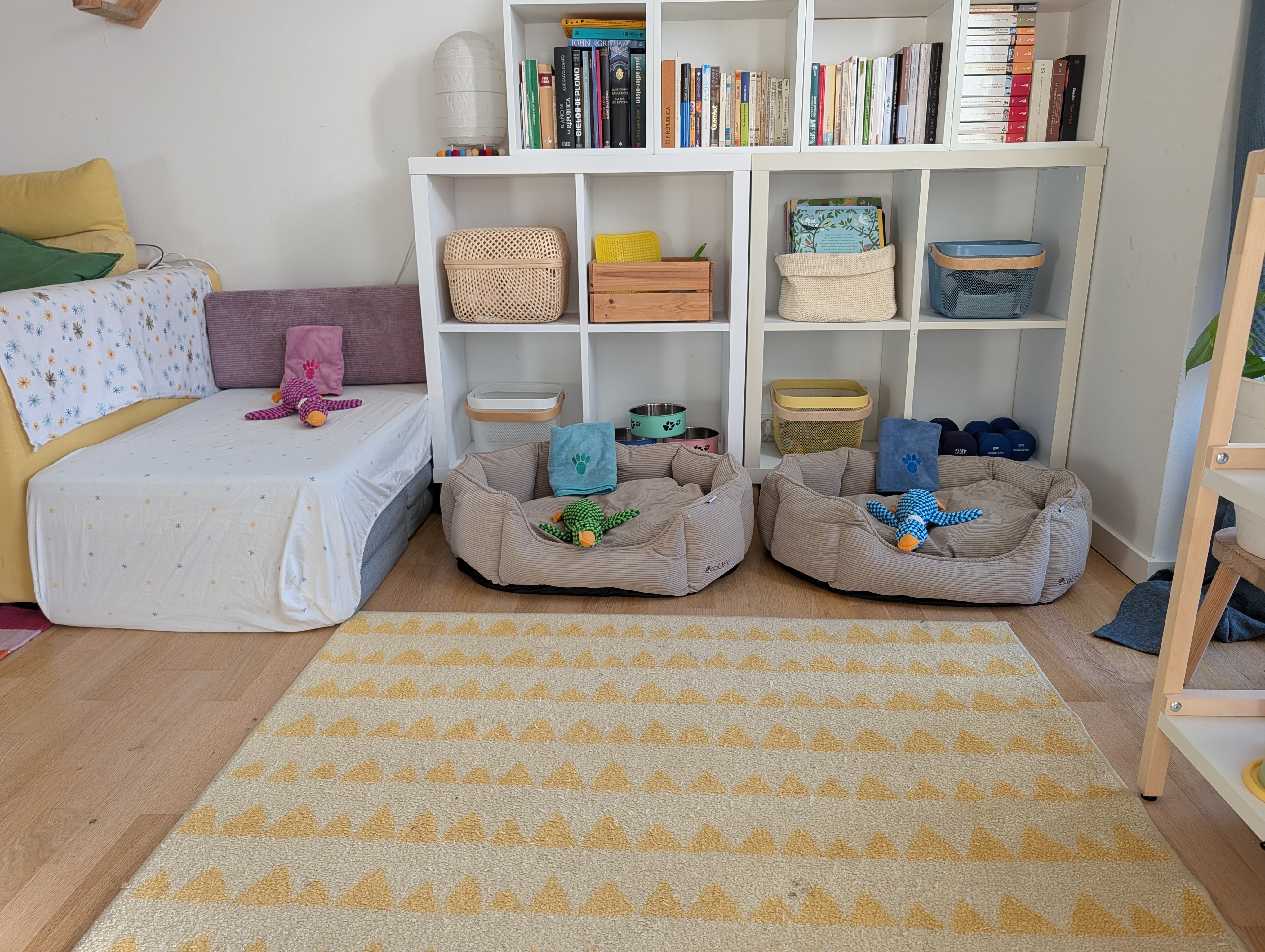 Dog beds in the living room
